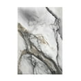 thumbnail image 1 of Andrea Haase 'Abstract Ink Fantasy II' Canvas Art, 1 of 4