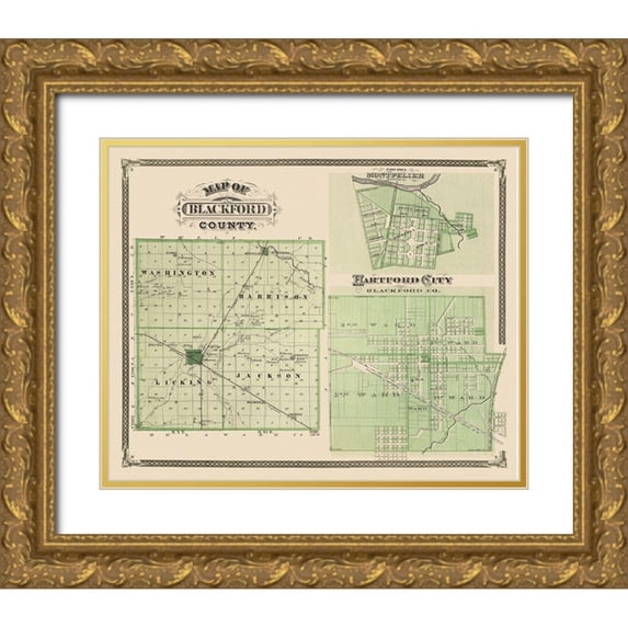 Andreas 24x20 Gold Ornate Wood Framed with Double Matting Museum Art Print Titled - Blackford Indiana - Andreas 1876