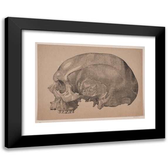 Andreas Flinch 14x11 Black Modern Framed Museum Art Print Titled - Kranium (1837 - 1838)
