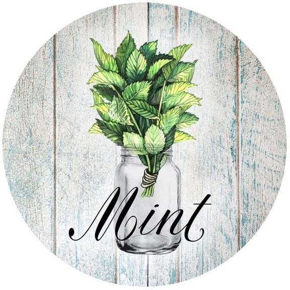 Andreas JO-AL3037 Mint Jar Opener
