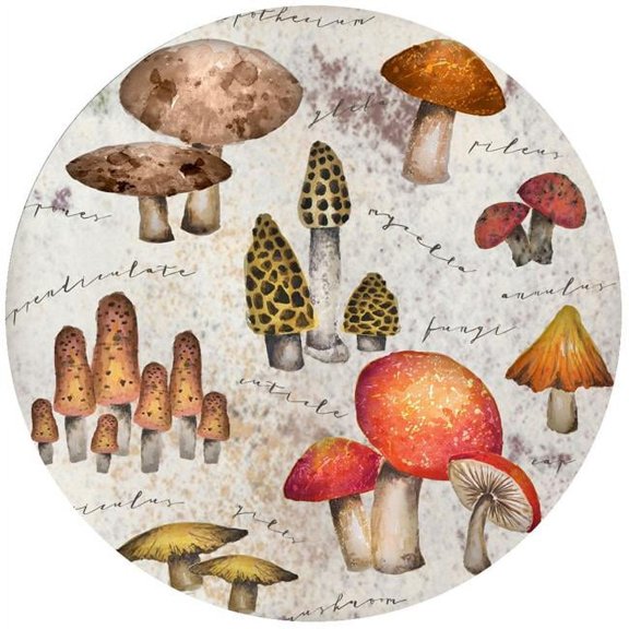 Andreas  JO-GGMM GG Mystical Mushroom Jar Opener