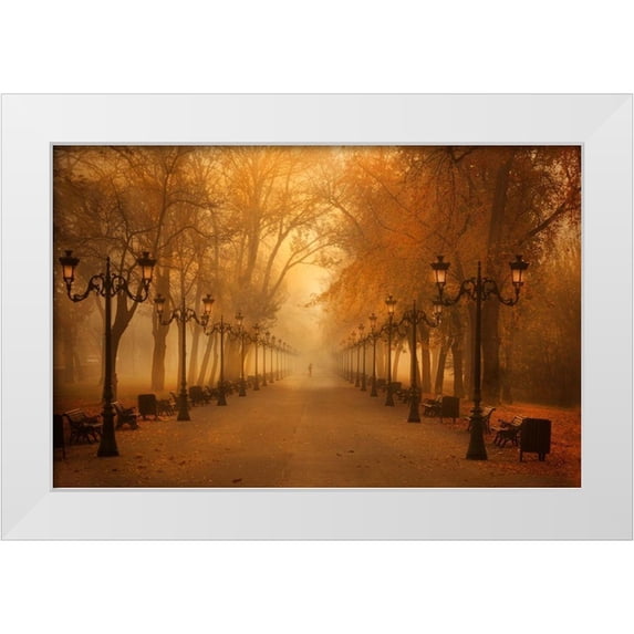Andreescu, Cristian 18x13 White Modern Wood Framed Museum Art Print Titled - November Morning