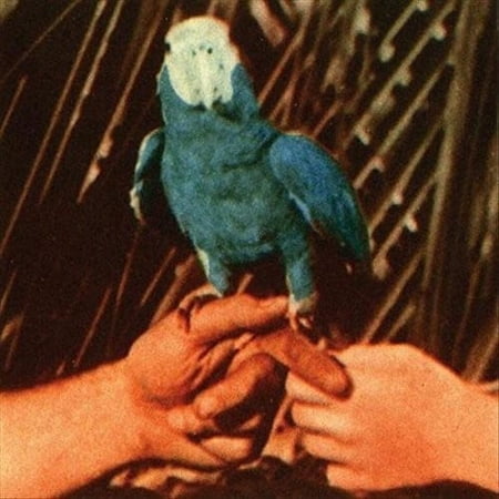 Andrew Bird - Are You Serious - Music & Performance - CD