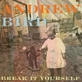 thumbnail image 1 of Andrew Bird - Break It Yourself - Rock - CD, 1 of 1