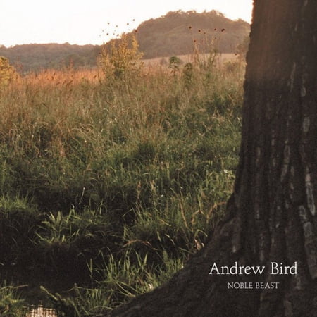 Andrew Bird - Noble Beast - Music & Performance - Vinyl