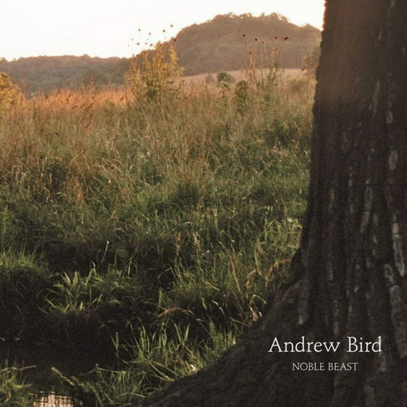 Andrew Bird - Noble Beast - Music & Performance - Vinyl