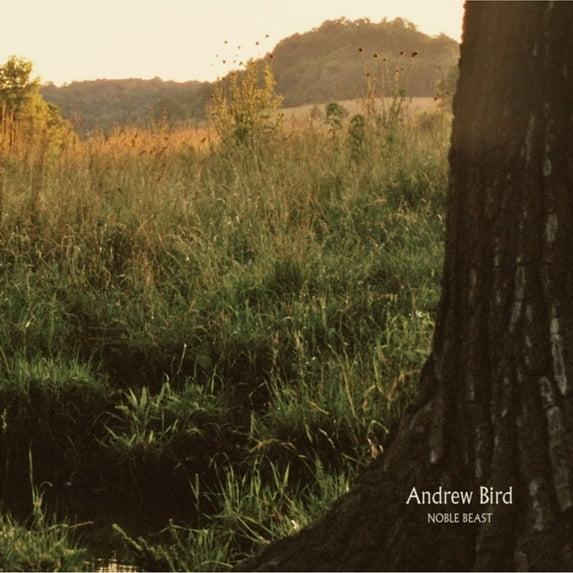 Andrew Bird - Noble Beast - Rock - CD