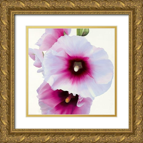 Andrew, Stephanie 12x12 Gold Ornate Wood Framed with Double Matting Museum Art Print Titled - White Hollyhock I