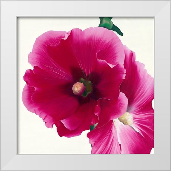 Andrew, Stephanie 15x15 White Modern Wood Framed Museum Art Print Titled - Pink Hollyhock I