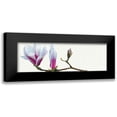 thumbnail image 1 of Andrew, Stephanie 24x11 Black Modern Framed Museum Art Print Titled - Magnolia solitaire, 1 of 5