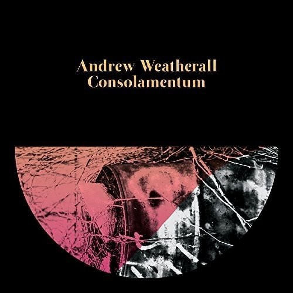 Andrew Weatherall - Consolamentum - Rock - CD