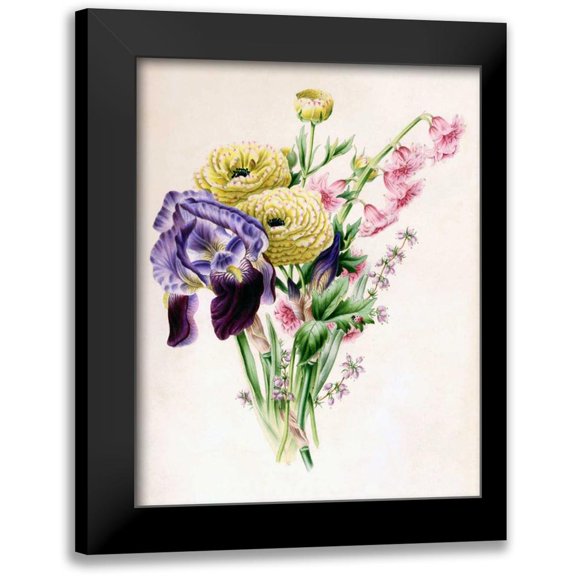 Andrews, James 12x14 Black Modern Framed Museum Art Print Titled - Iris