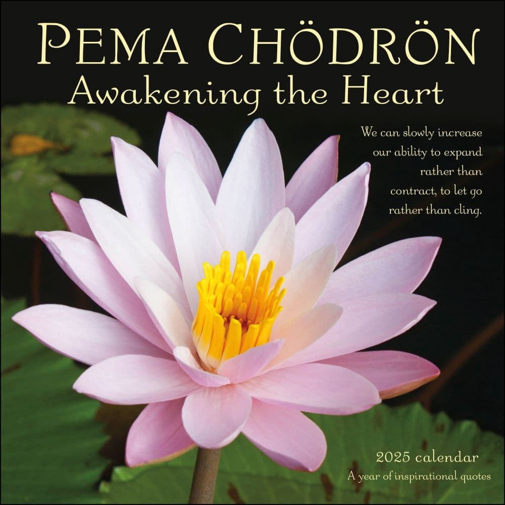 Andrews McMeel Publishing, Pema Chodron 2025 Wall Calendar