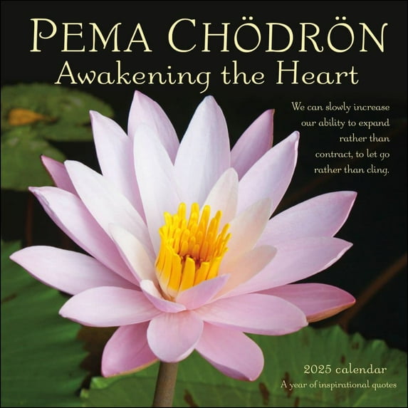 Andrews McMeel Publishing, Pema Chodron 2025 Wall Calendar