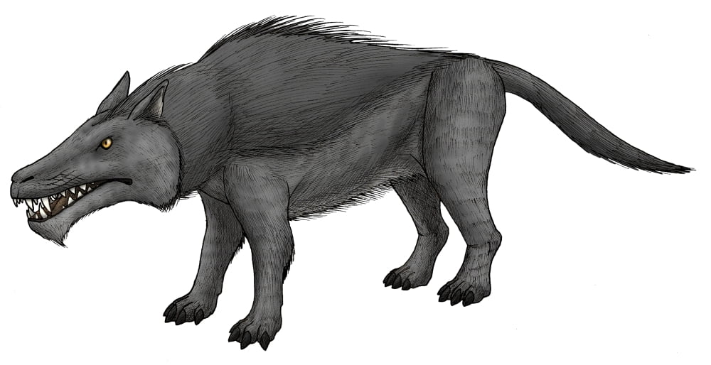 Andrewsarchus an ungulate mammal from the Eocene epoch Canvas Art - Vitor SilvaStocktrek images (20 x 10)