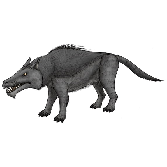 Andrewsarchus an ungulate mammal from the Eocene epoch Poster Print