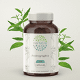 thumbnail image 1 of HerbEra Andrographis Capsules, Herbal Dietary Supplement for Immune and Seasonal Wellness Support, Andrographis (Fah talai jone, Andrographis paniculata) Dried Herb Capsules, Natural, 120 Capsules, 1 of 6
