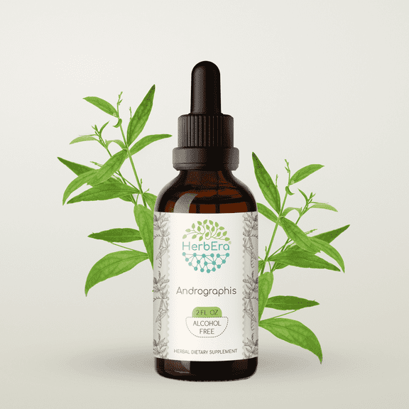 HerbEra Andrographis Tincture, Herbal Dietary Supplement for Immune and Seasonal Wellness Support, Andrographis (Andrographis paniculata) Dried Herb Extract, Natural, Alcohol-Free, Drops 2 oz