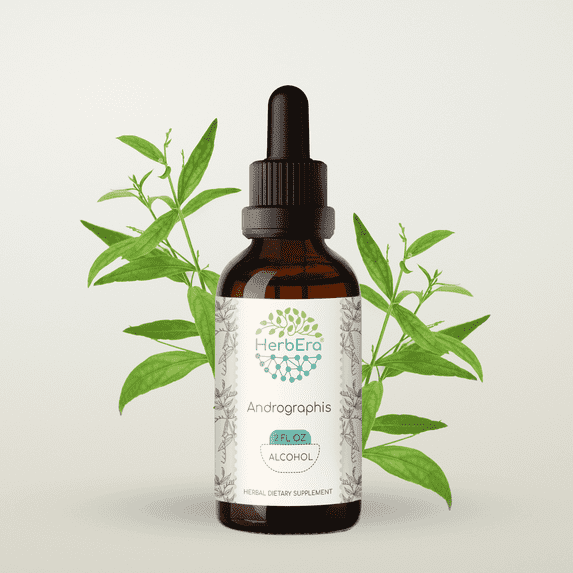 HerbEra Andrographis Tincture, Herbal Dietary Supplement for Immune and Seasonal Wellness Support, Andrographis (Andrographis paniculata) Dried Herb Extract, Natural, Alcohol Tincture, Drops 2 oz