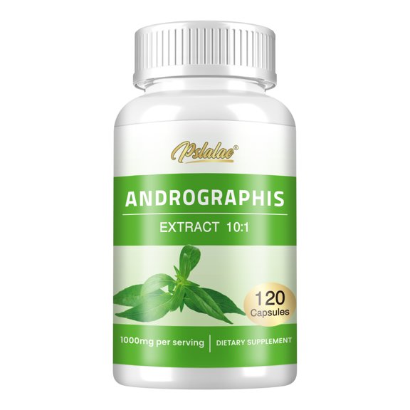 Andrographis Capsules - Supports Healthy Immune System & Respiratory Tract, Digestive, Immune Support Boost - 120 Capsules