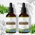 thumbnail image 1 of Andrographis Tincture Alcohol Extract, Organic Andrographis Chuan Xin Lian, Andrographis Paniculata Immune System Health 2x4 oz, 1 of 7