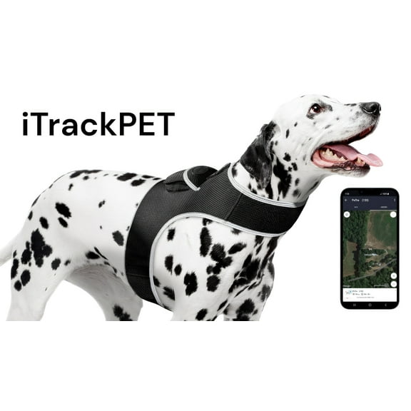 Android GPS Pet Tracker Realtime Tracking System Mini Dog Cat Locator Size:XXL