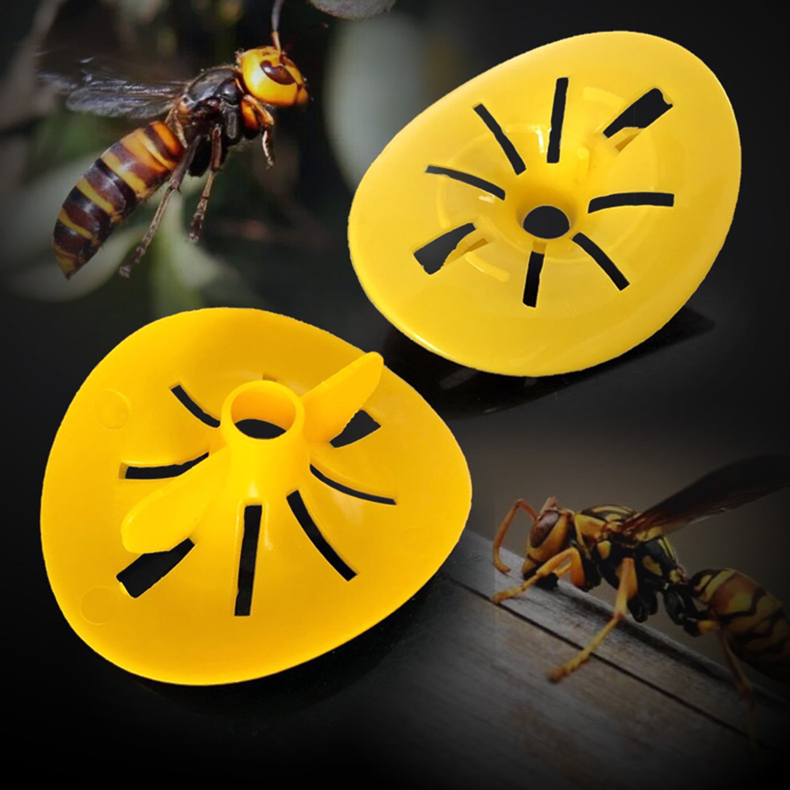 Andvari 5Pcs Wasp Catchers Fatal Funnel Plastic Indoor Outdoor Reusable