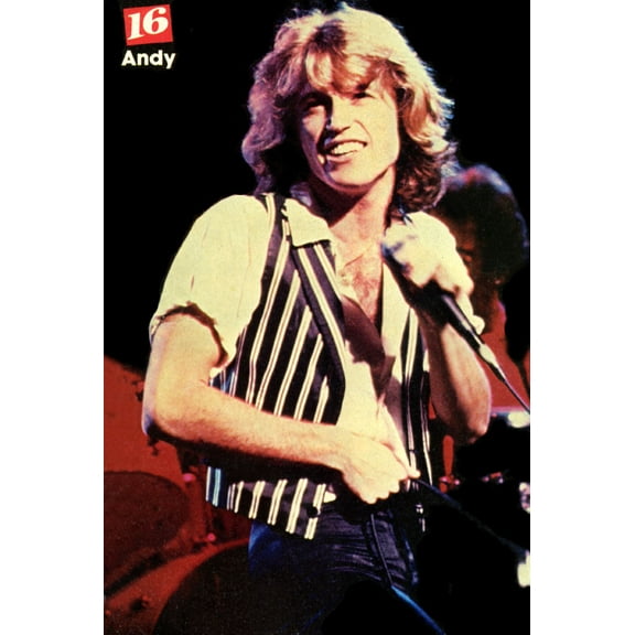 Andy Gibb Vintage 80'S Image Metal Print 12x16 Large Print on Metal 12x16 Square Adults AB Posters