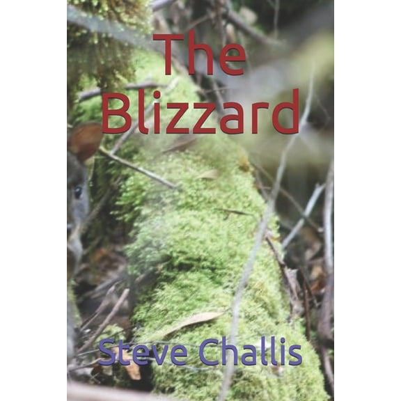 Andy: The Blizzard (Paperback)