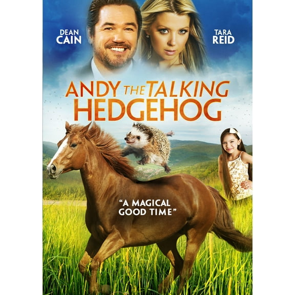 Andy The Talking Hedgehog