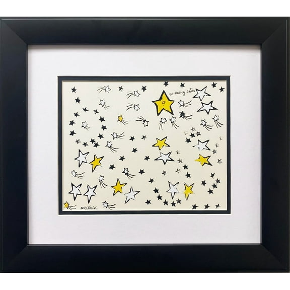 Andy Warhol "So Many Stars" Newly CUSTOM FRAMED Matted Pop Art Generic