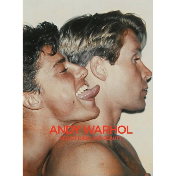 Pre-Owned Andy Warhol : Velvet Rage and Beauty (Hardcover)