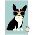 thumbnail image 1 of Andy Westface - Boston Terrier Work Hard Wall Poster, 22.375" x 34", 1 of 5