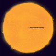 thumbnail image 1 of Andy White - This Garden Is Only Temporary - Music & Performance - CD, 1 of 1