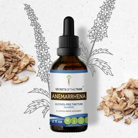 Secrets Of The Tribe Anemarrhena Tincture Dietary Supplement, Natural Herbal Extract for Immune Support, Anemarrhena, Zhi Mu (Anemarrhena asphodeloides) Dried Root, Alcohol-Free Extract, Drops 2 oz