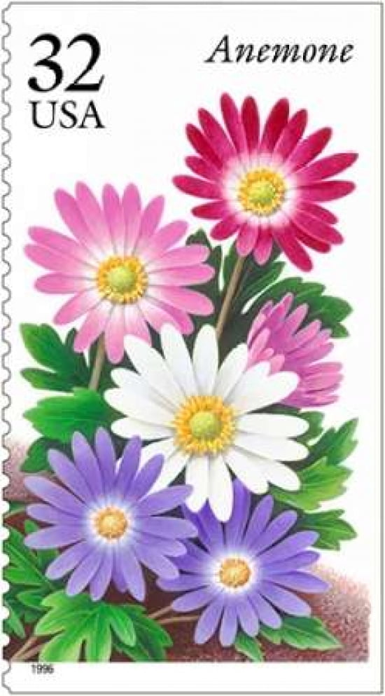 Anemone Canvas Art - US POSTAL SERVICE (24 x 36)