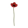 thumbnail image 1 of Anemone Flowers Artificial, Ngxiha 1Pcs 11 Inch Real Touch Artificial Flowers, Flowers Artificial Real Artificial, Reusable Flowers Bouquet for Home Office Desk Vase Decor Anemone, 1 of 5