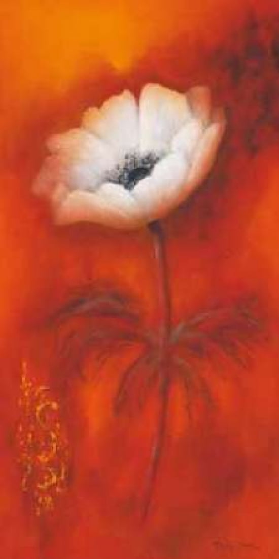Anemone I Canvas Art - Betty Jansma (10 x 20)