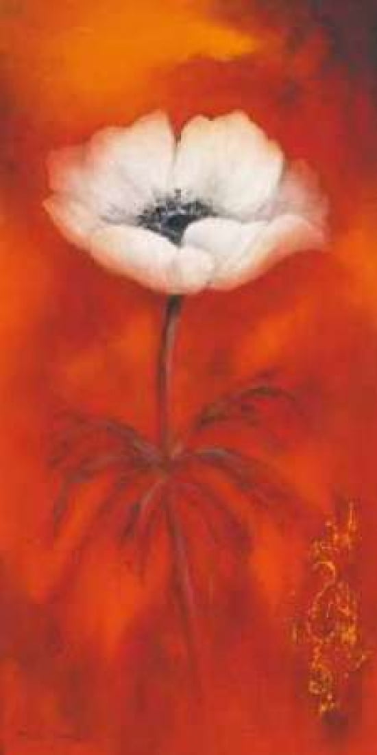 Anemone II Canvas Art - Betty Jansma (10 x 20)