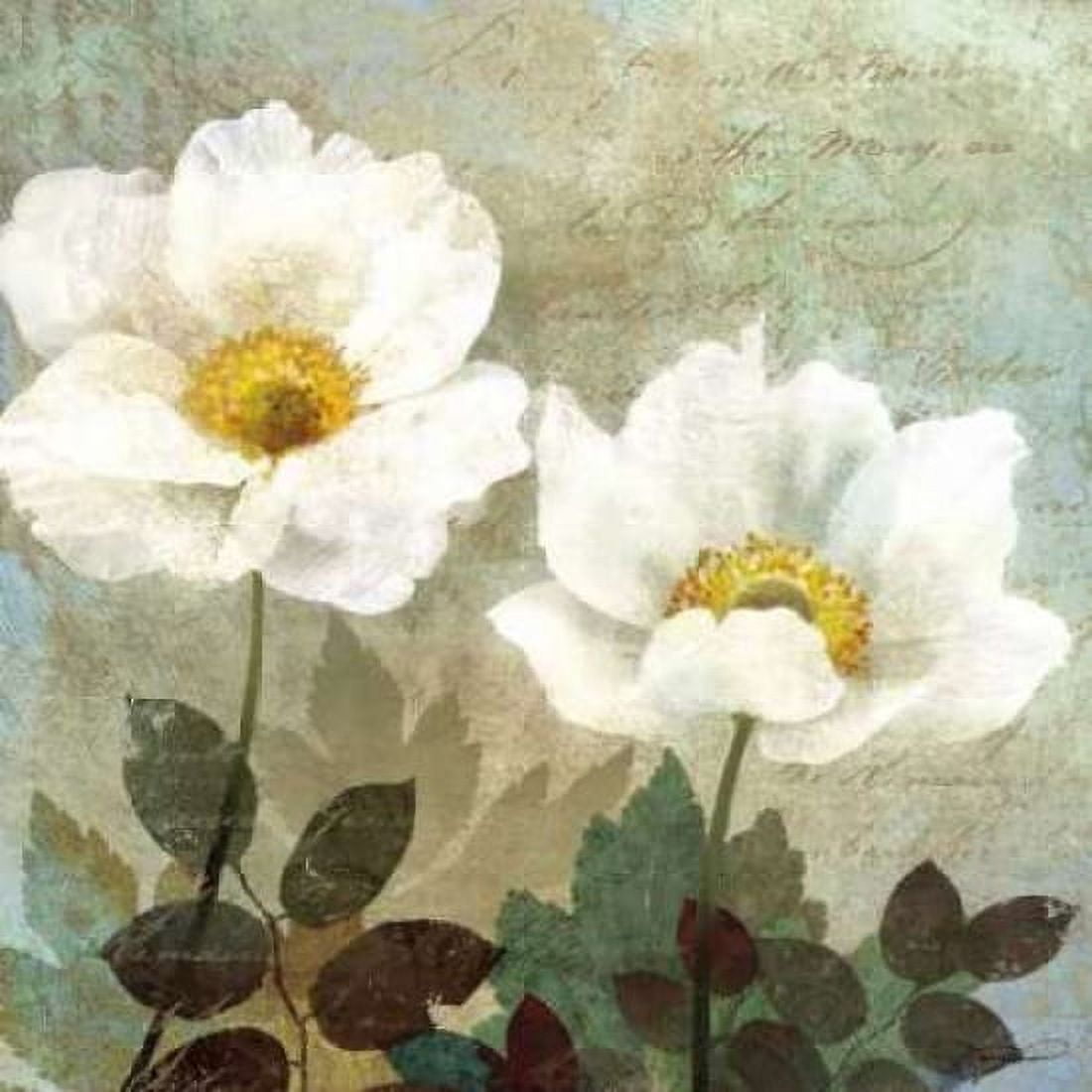 Anemone II Canvas Art - Keith Mallett (24 x 24)