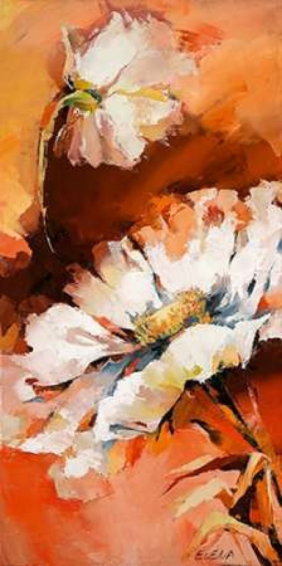 Anemonen II Canvas Art - Elena Filatov (10 x 20)