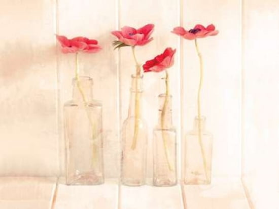 Anemones In Bottles Canvas Art - Ian Winstanley (18 x 24)
