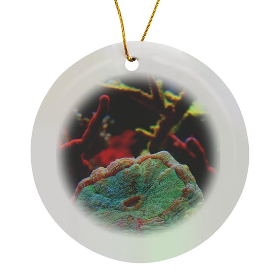 3drose, Anenome Saltwater Image, Circle Porcelain Ornament