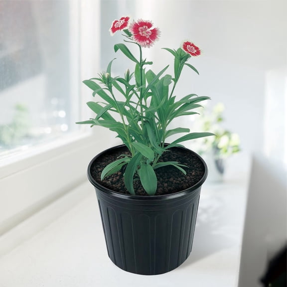 Anewi 1 Gallon Flexible Plant Nursery Pots, Thickened Soft Plastic Seed Starting Pots, Plastic Plant Container with Hole for Flower Seedling, 1 Pack