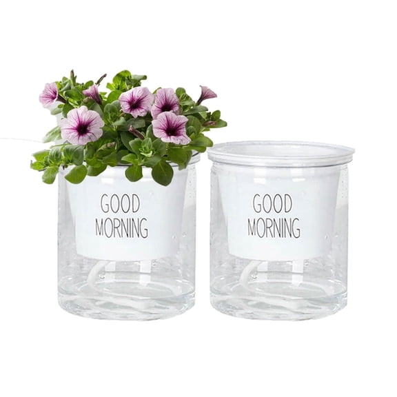 Anewi Self Watering African Violet Pot, Bottom Watering Glass Planter for Indoor Plants and Propagation, Clear Glass Self Watering Planter, 1 Pack