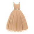 thumbnail image 1 of Angala Children's Fashion Mesh Lace Suspender Puffy Dress Birthday Dress (3-14 Years Old) Beautiful Casual Girls Dress, 1 of 2
