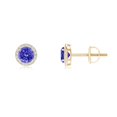 thumbnail image 1 of ANGARA Natural Vintage-Inspired Round Tanzanite Halo Stud Earrings in 14K Yellow Gold for Women (Size-4mm) | December Birthstone, Anniversary, Jewelry Gift for Women | Natural Tanzanite Earrings, 1 of 6