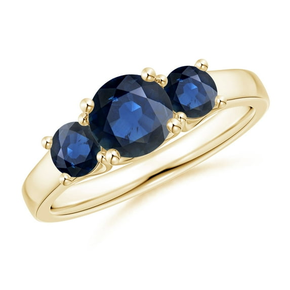 Angara Natural 1 Ct. Blue Sapphire with Blue Sapphire Classic Ring in 14K Yellow Gold for Women (Ring Size: 3)