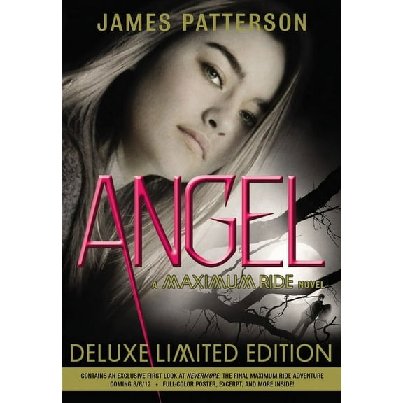 Pre-Owned Angel : A Maximum Ride Novel (Paperback) 9780316038324