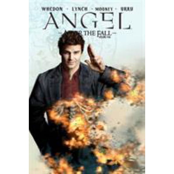 Pre-Owned Angel: After the Fall, Vol. 4 (Hardcover) 1600104614 9781600104619